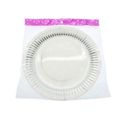 Paper Plate Silver